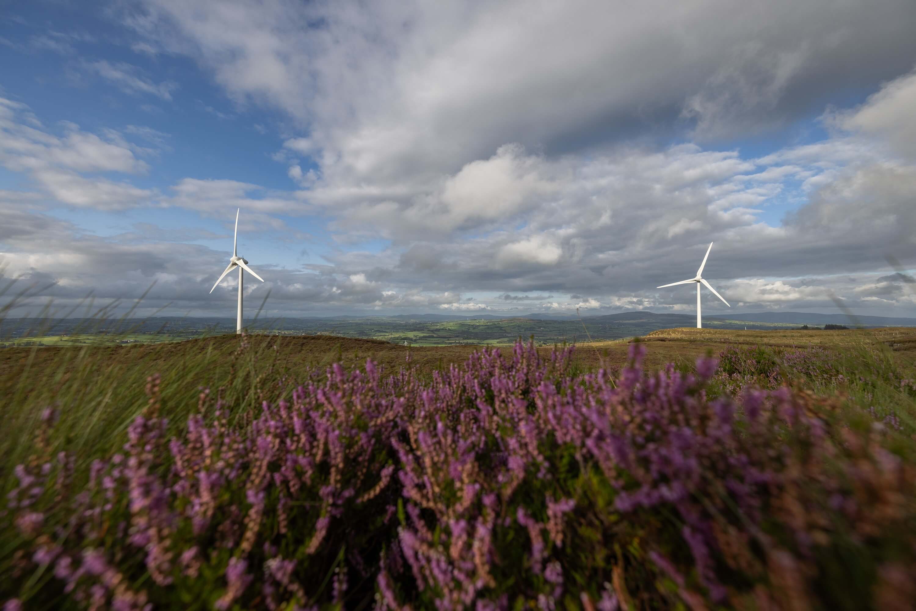 Existing Slieveglass Wind Farm 